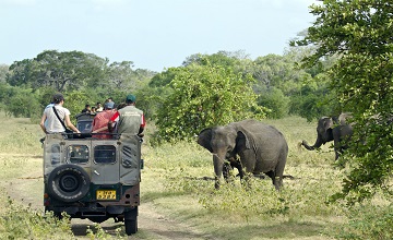08 Days Wildlife Tour Of Srilanka