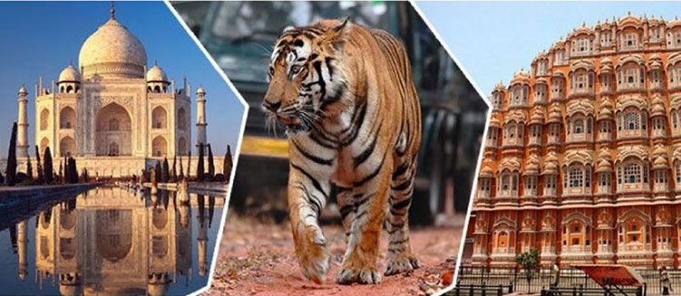 Golden Triangle Tour with Wildlife