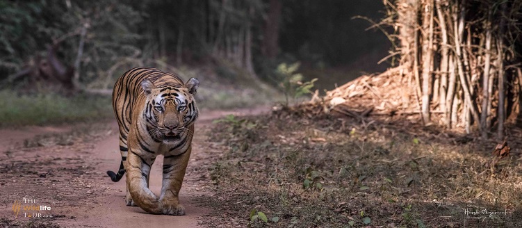 Taj Mahal with chardham Tour